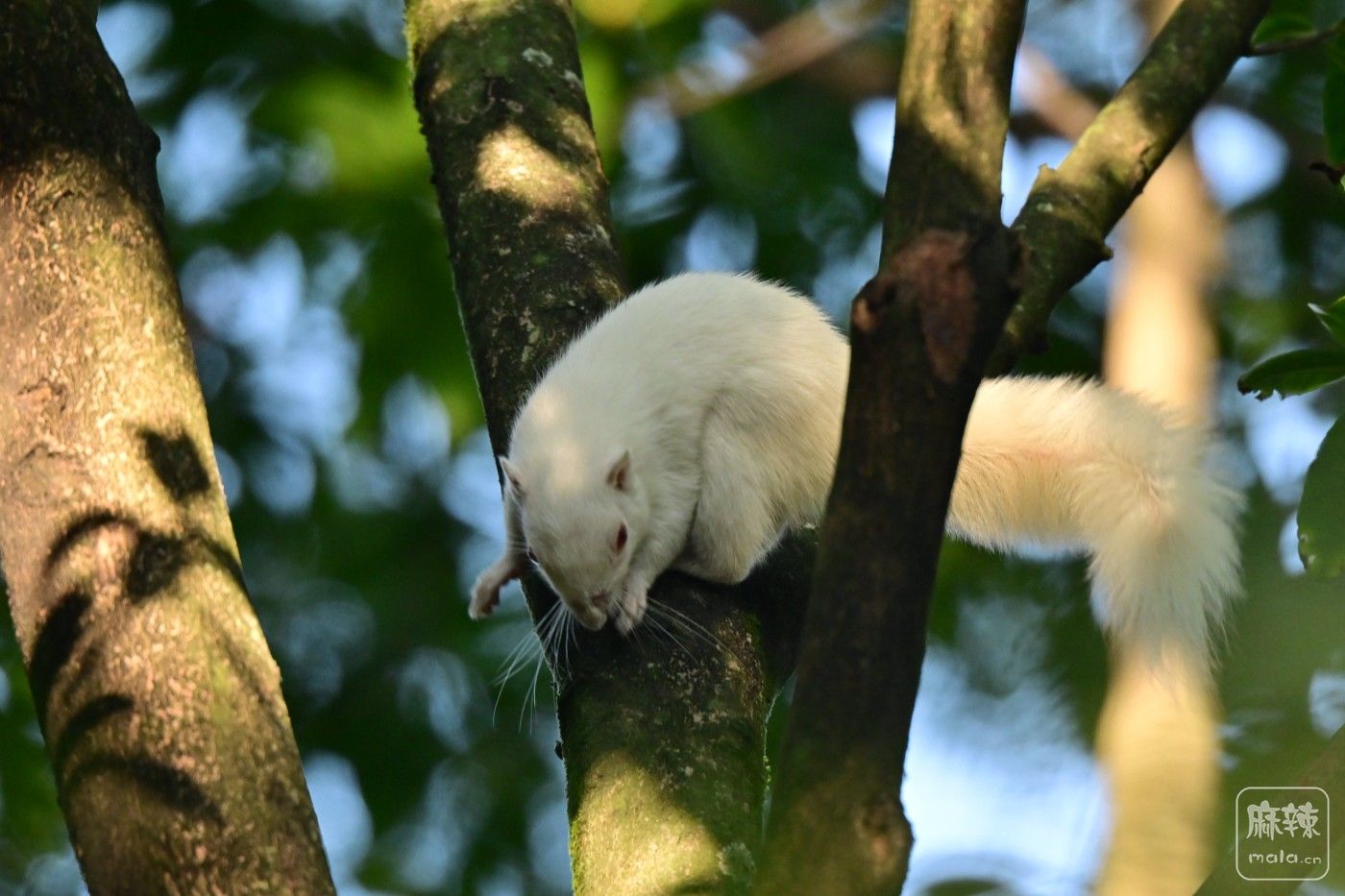 DSC_4583.JPG