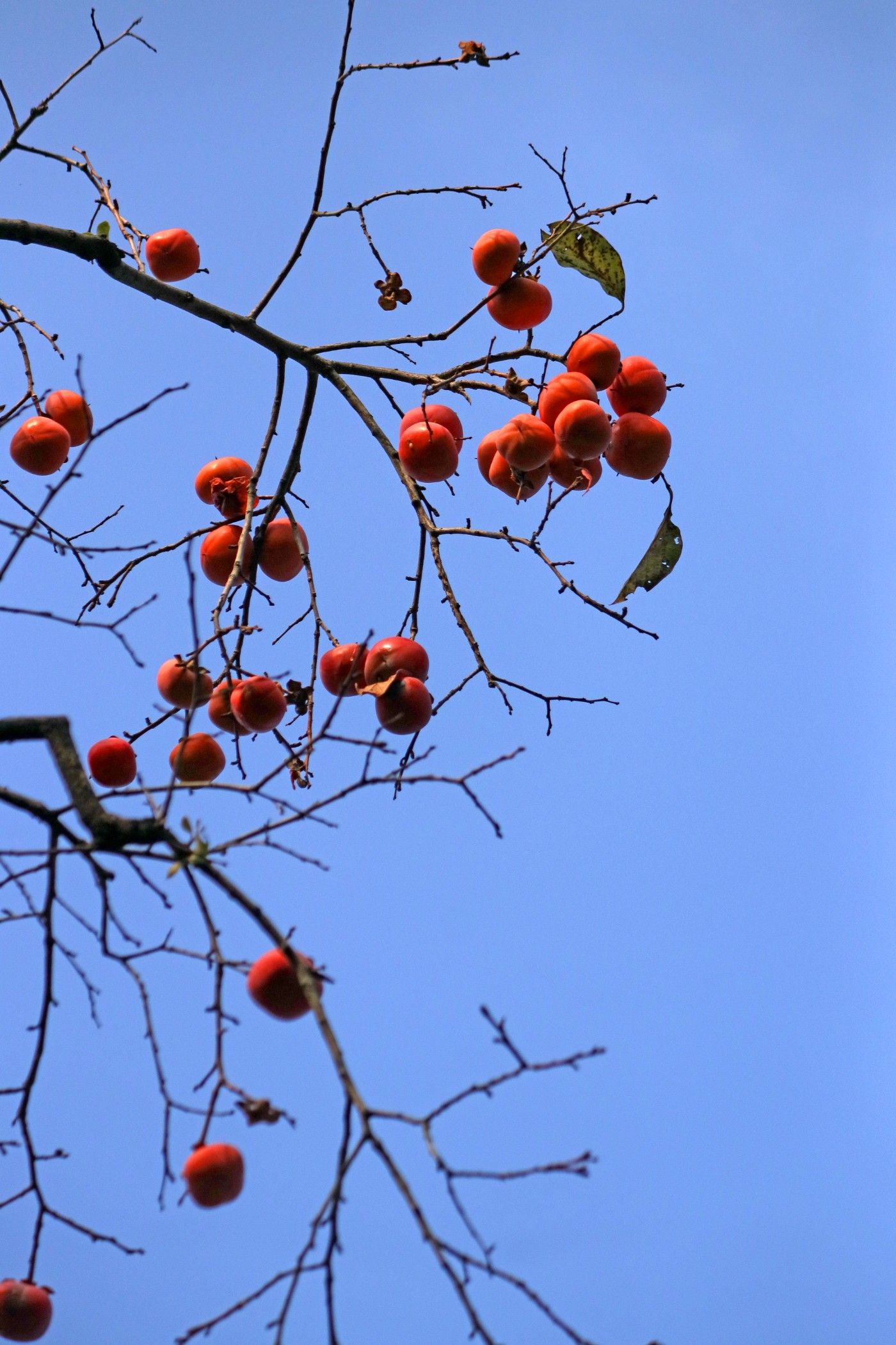 IMG_7742.JPG