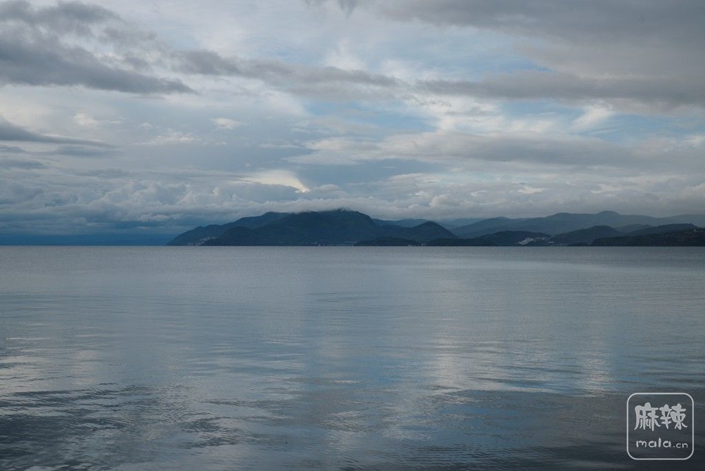05.jpg