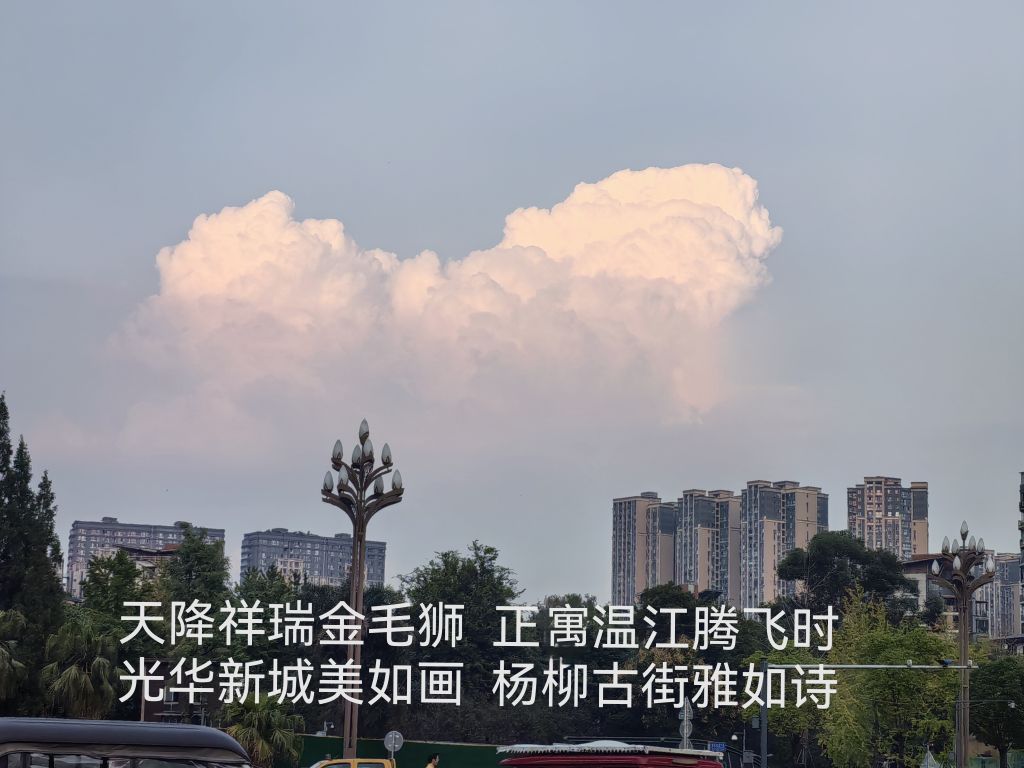 20261015064755front2_0_6080161_FqRY3p0J9ZVauU49vHRK4EMgQuUV.jpg