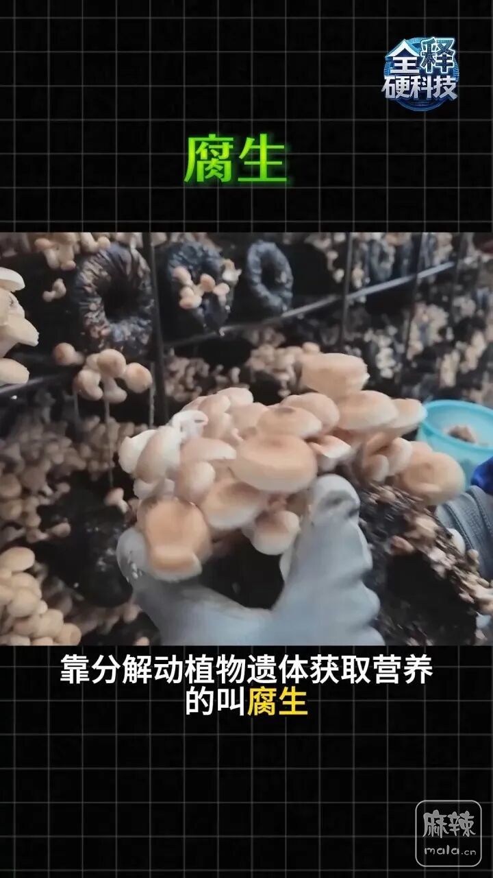 dd9d-879f0b5a041b04dac40c1db6ddea13d5.jpg