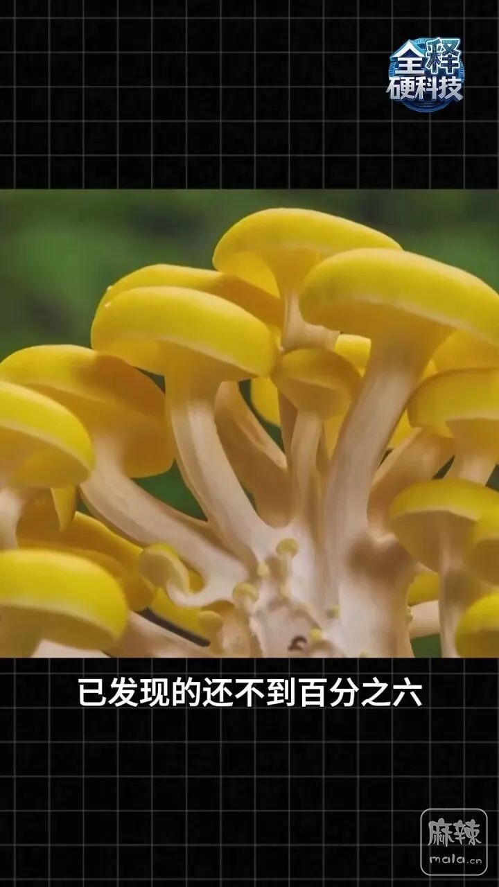 8bc1-959684a11b97b98ff111c77a15da5d1b.jpg