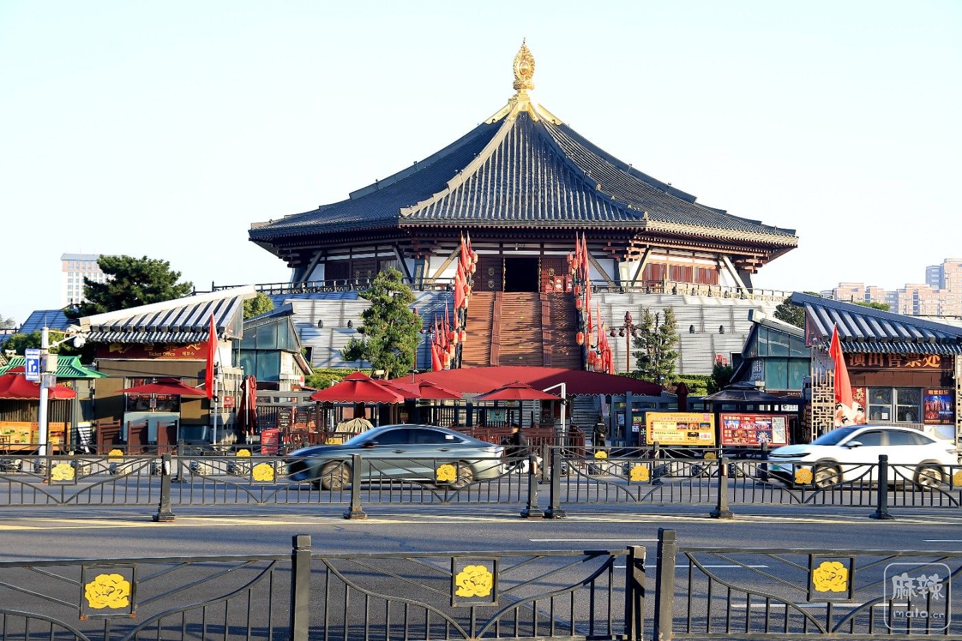 IMG_5311.jpg