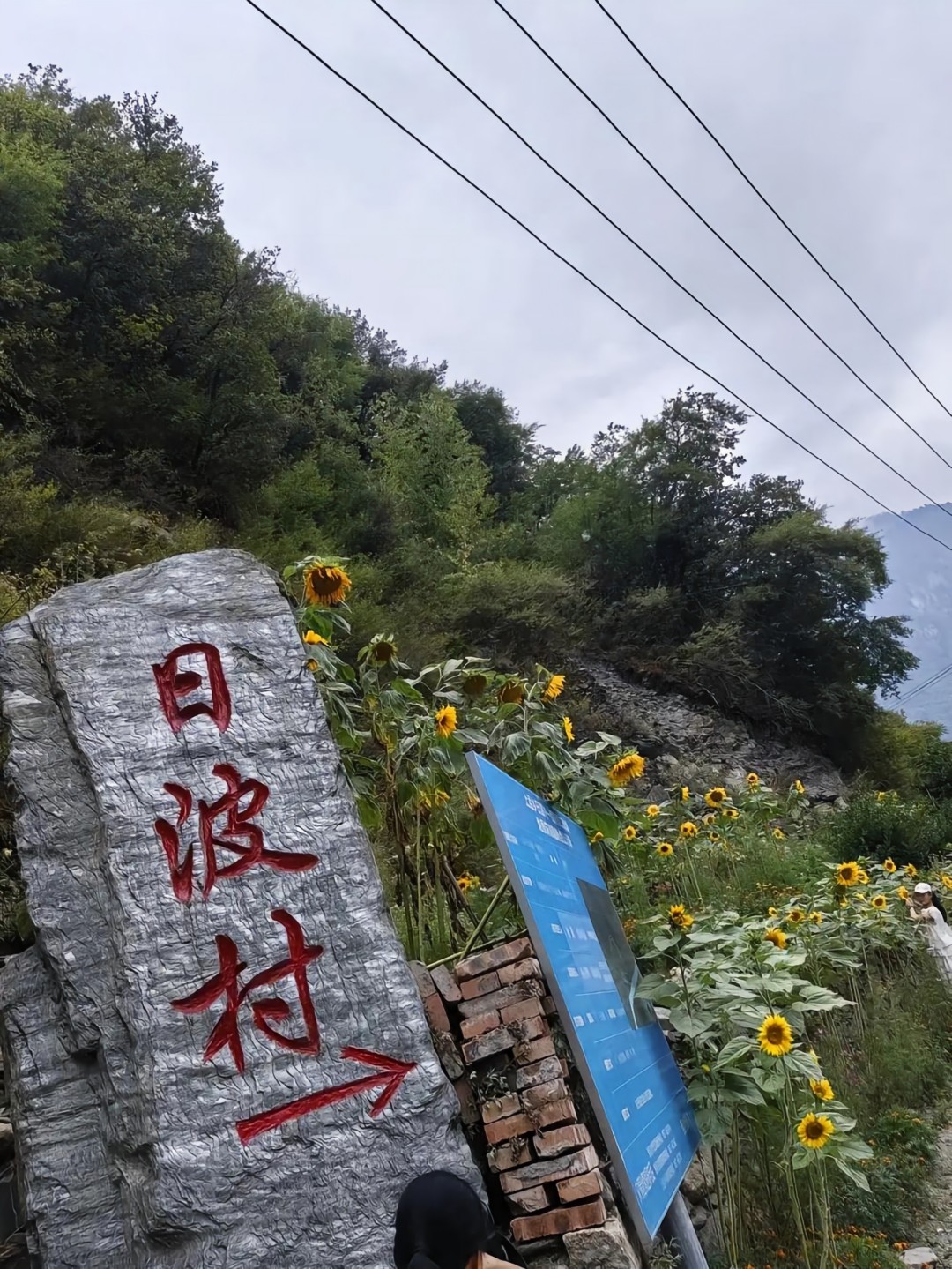 ΢��ͼƬ_20260708190955_2060_198(1).jpg