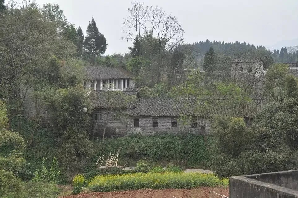 ΢��ͼƬ_20261016100959_537_645.png