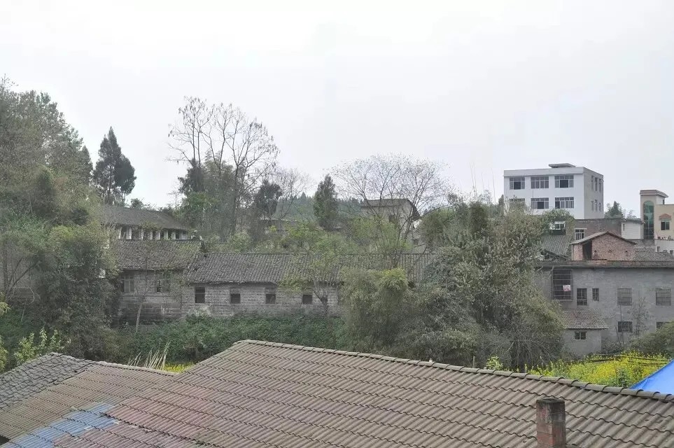 ΢��ͼƬ_20261016101040_541_645.png