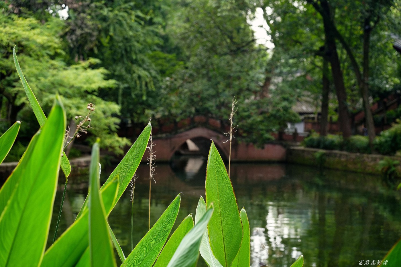 DSC00433_����.jpg