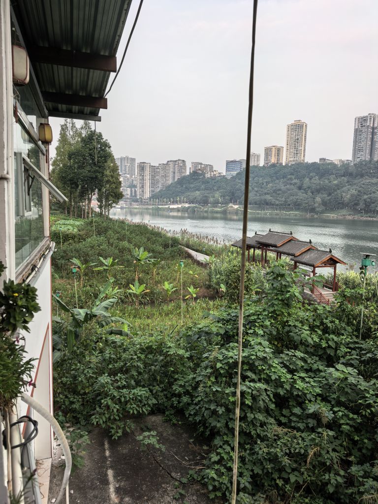 20261016180458front2_0_7769482_Fr4LdbzPD66uif1iA30YTqqANGAU.jpg