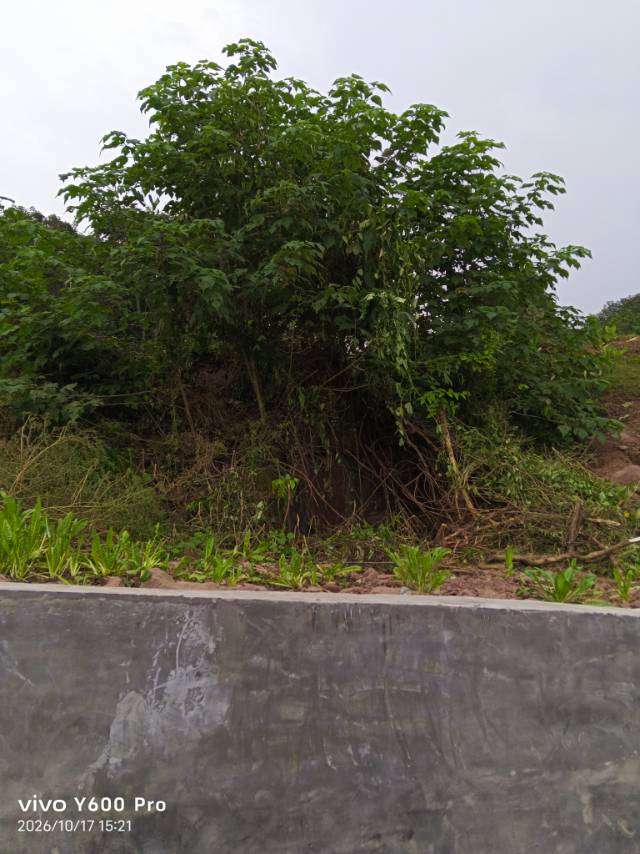 20261017152935mini_bbs_wap_7965625_Fn8Ry9hdxTpc7191VR-S3wo6Hnhe.jpg
