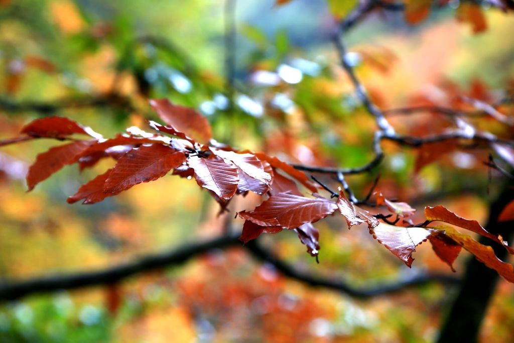L_JY3579_����.jpg