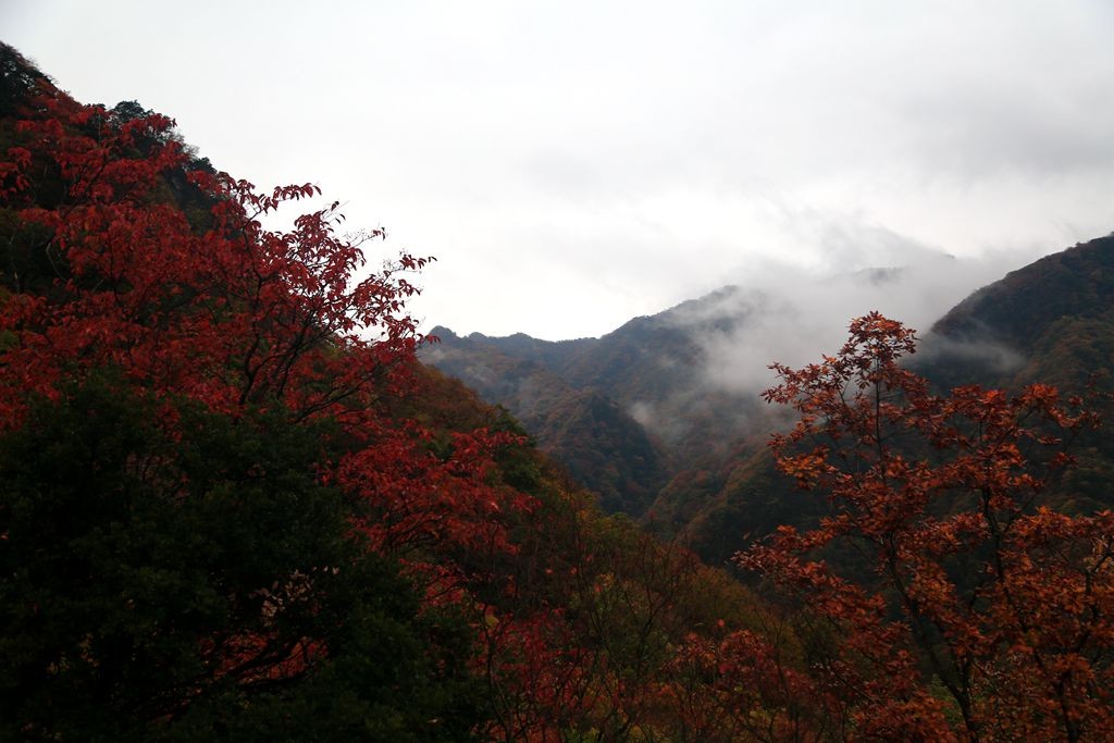 L_JY3646_����.jpg