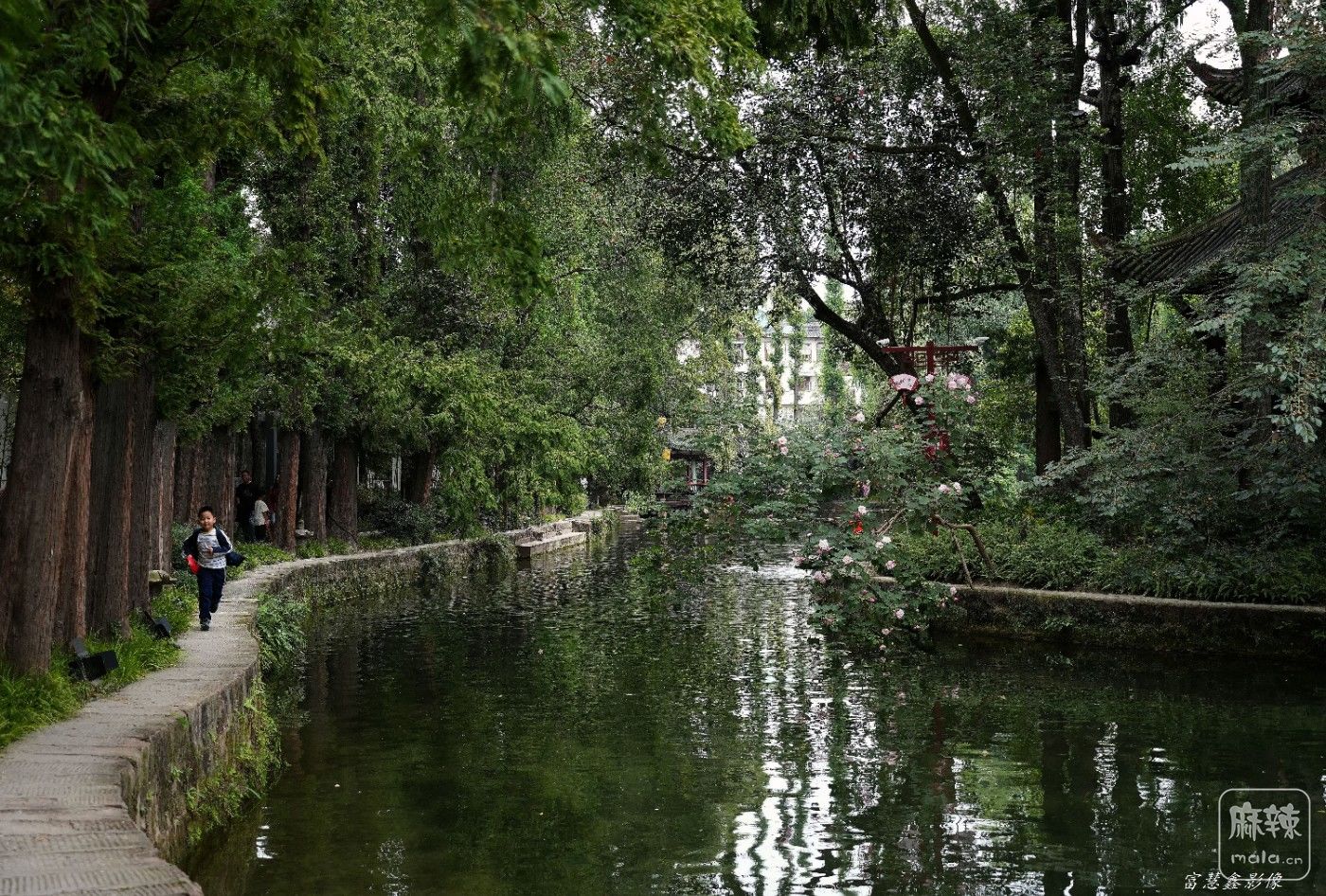 DSC00538_����.jpg