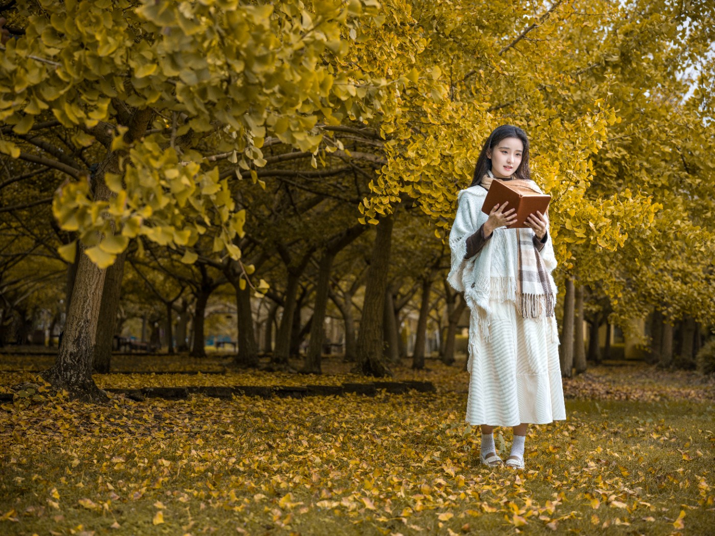 B0004714 ����.jpg