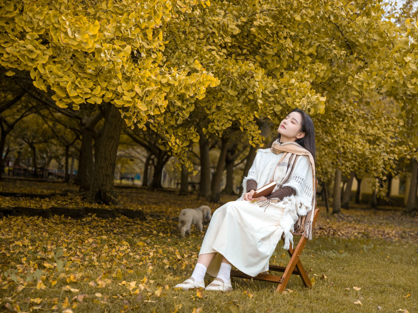 B0004747 ����.jpg