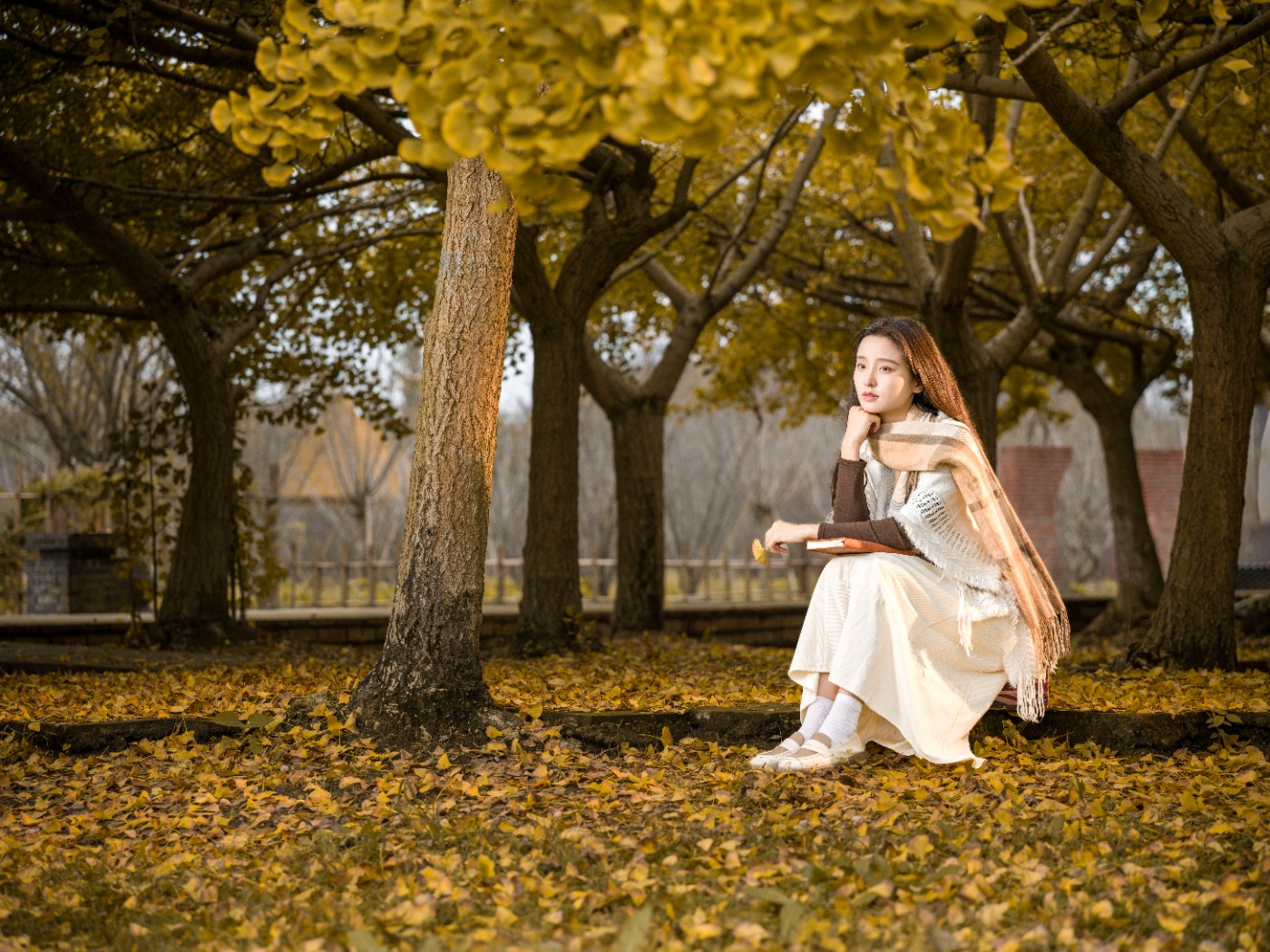 B0004805 ����.jpg