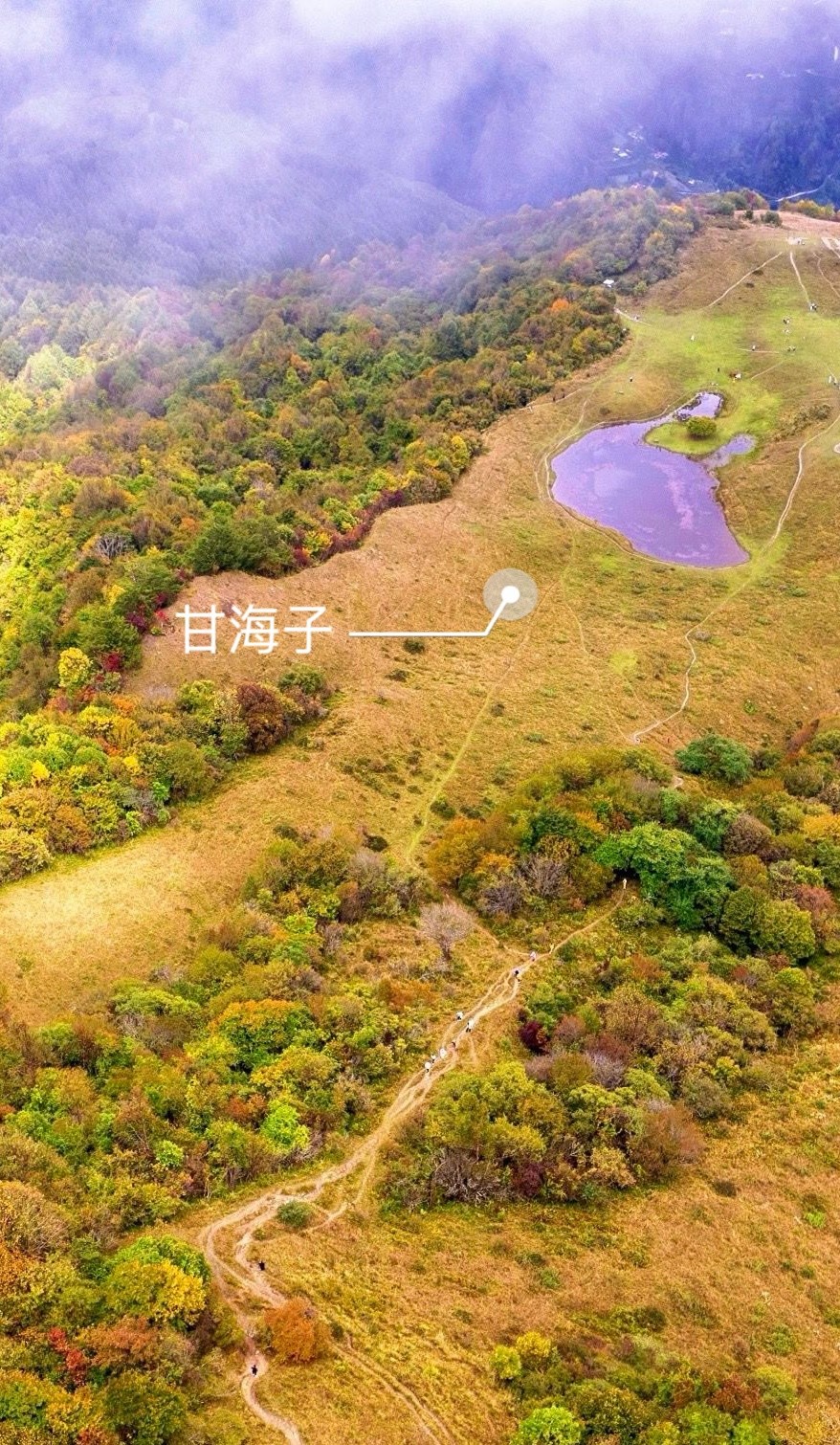 image_3.jpg