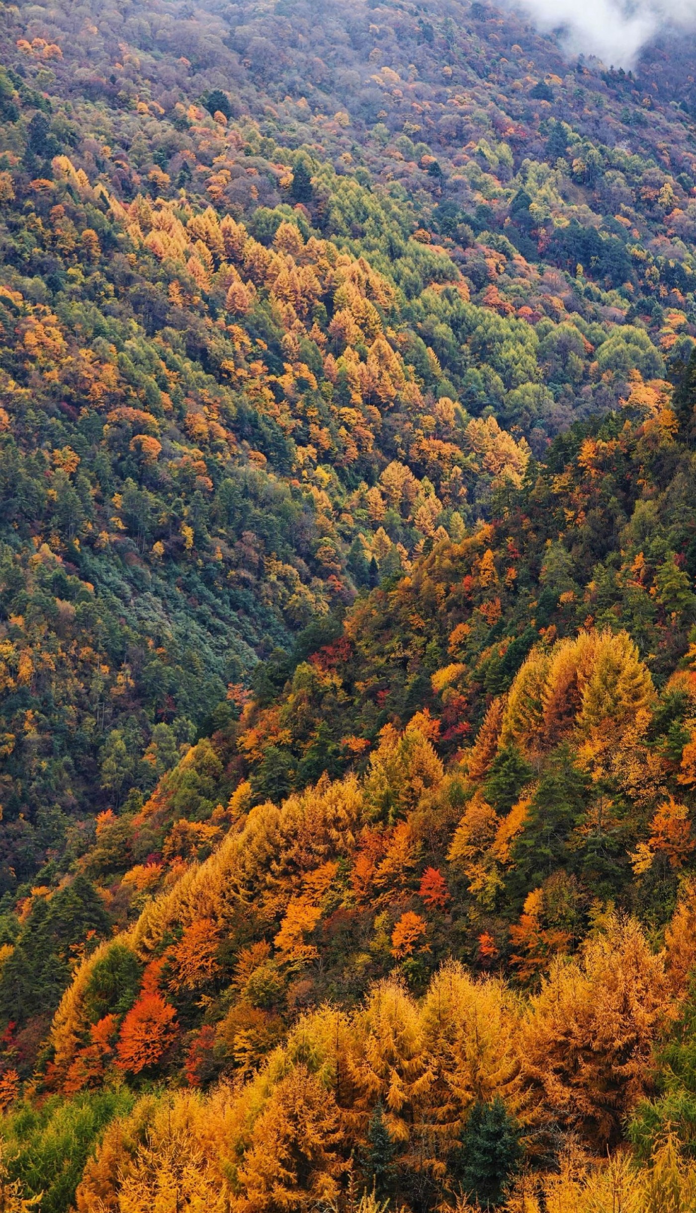 image_5.jpg