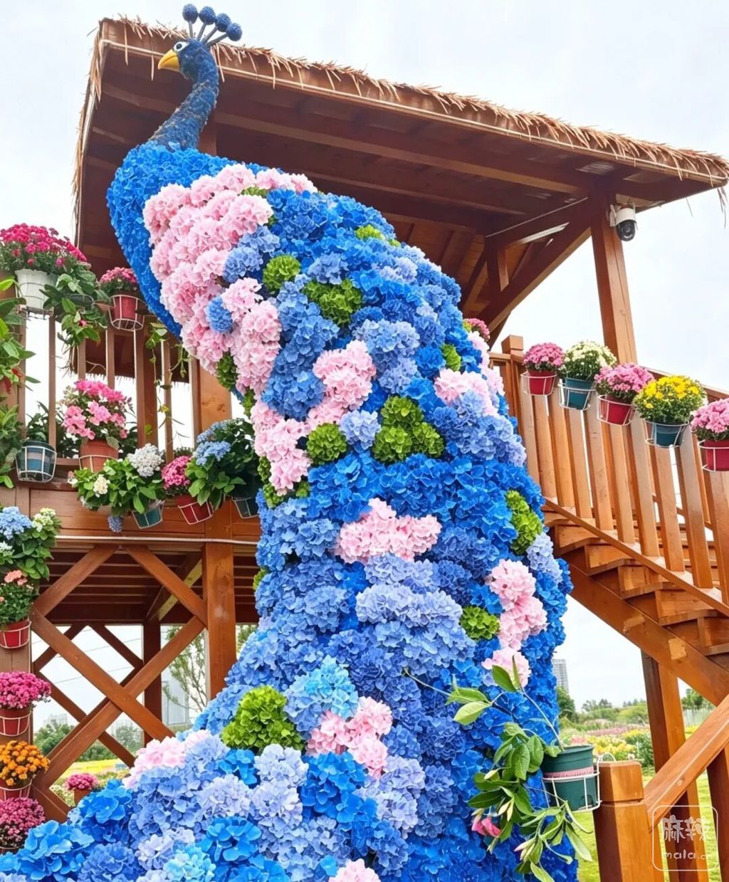 5baa7b7a78674aecb4f7cf0cd37d4375~tplv-tt-origin-web:gif.jpeg