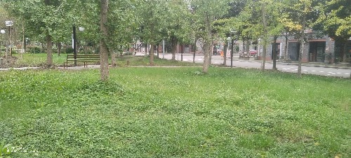 IMG_20261019_171353.jpg