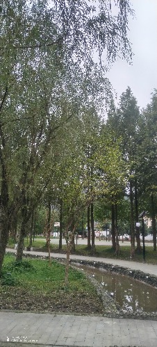 IMG_20261019_171506.jpg