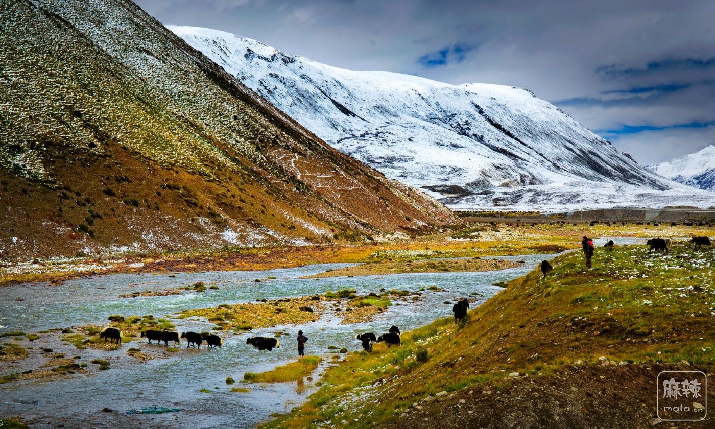 _MG_5024.jpg