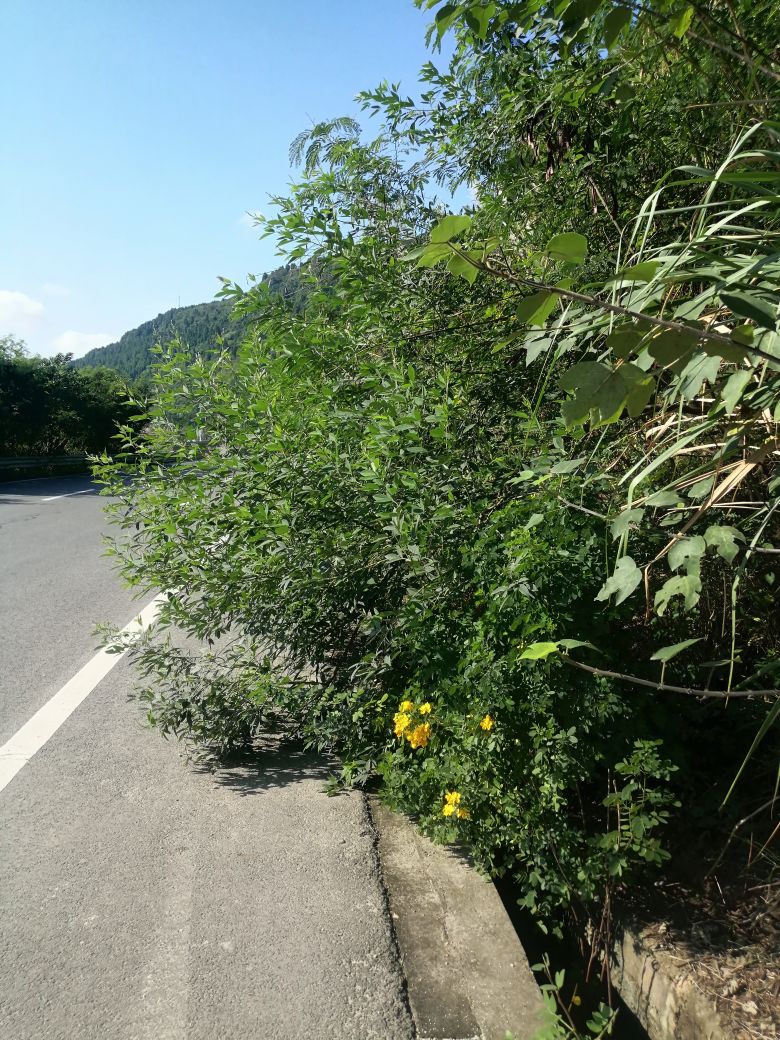 20261020132427front2_0_7946899_FljgZrUCGN5od8axu9Gzre1Aere0.jpg