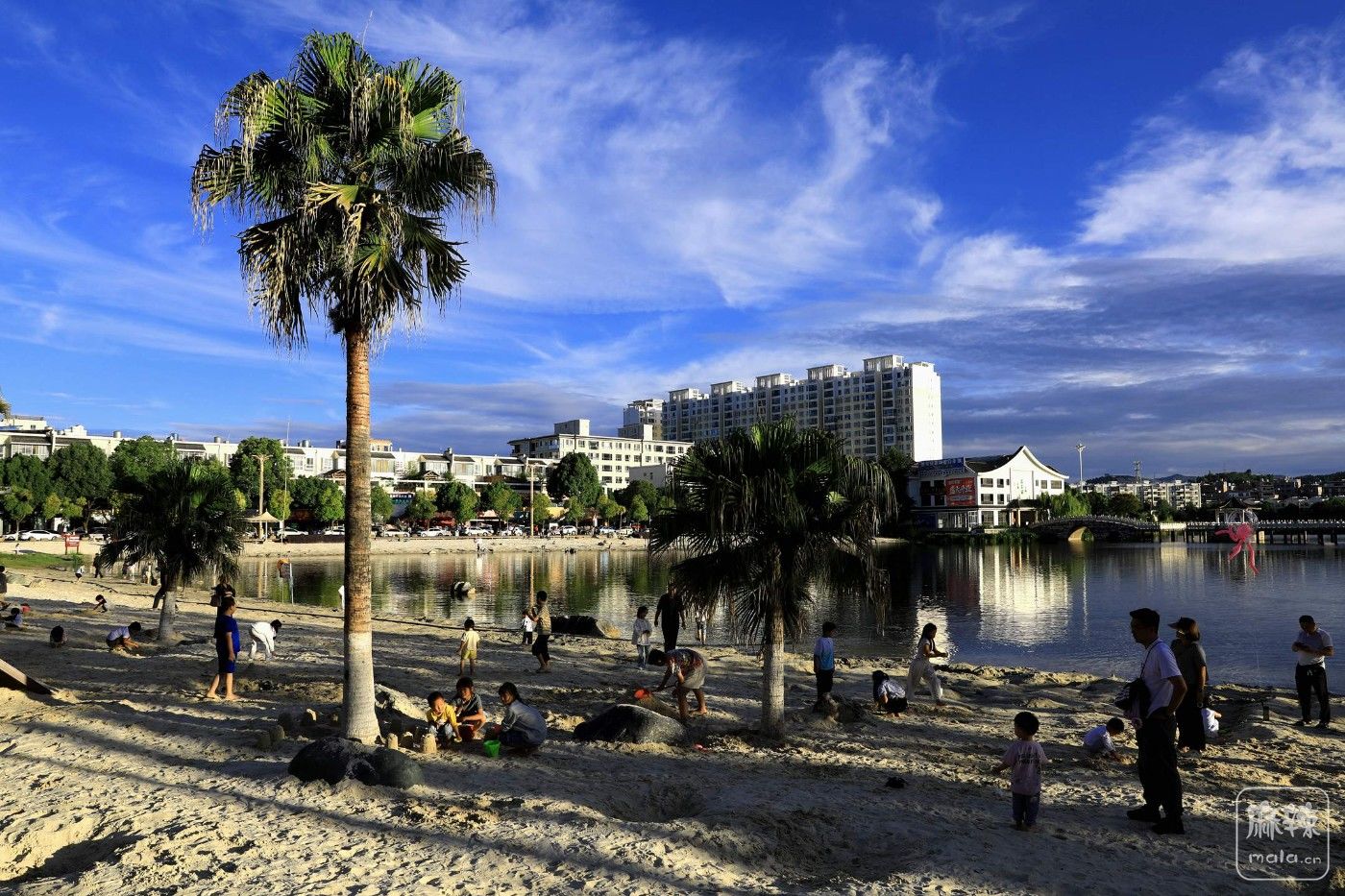 0F5A8432.JPG