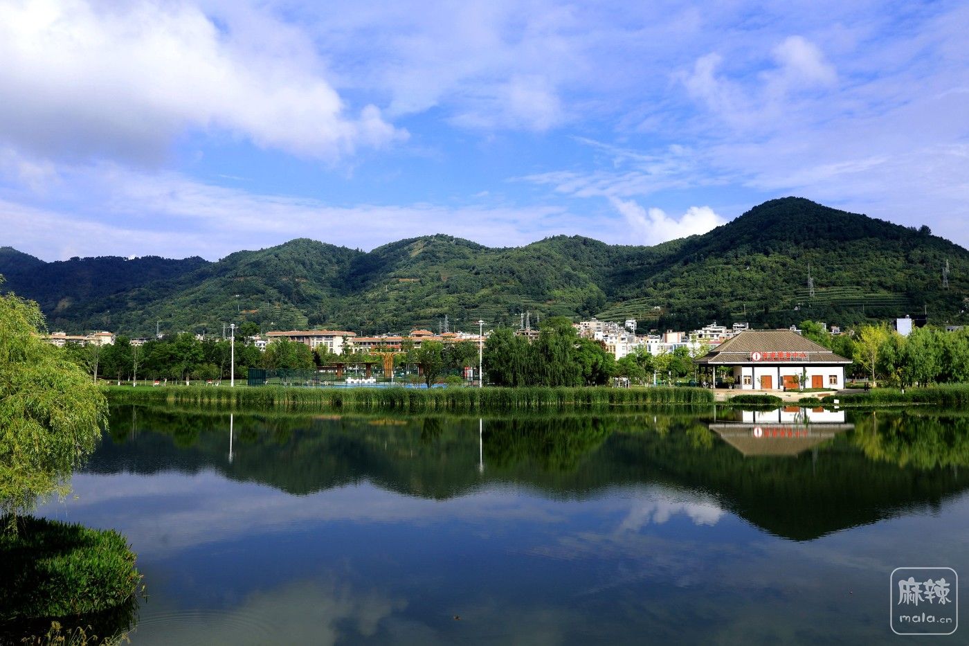 0F5A8928.JPG