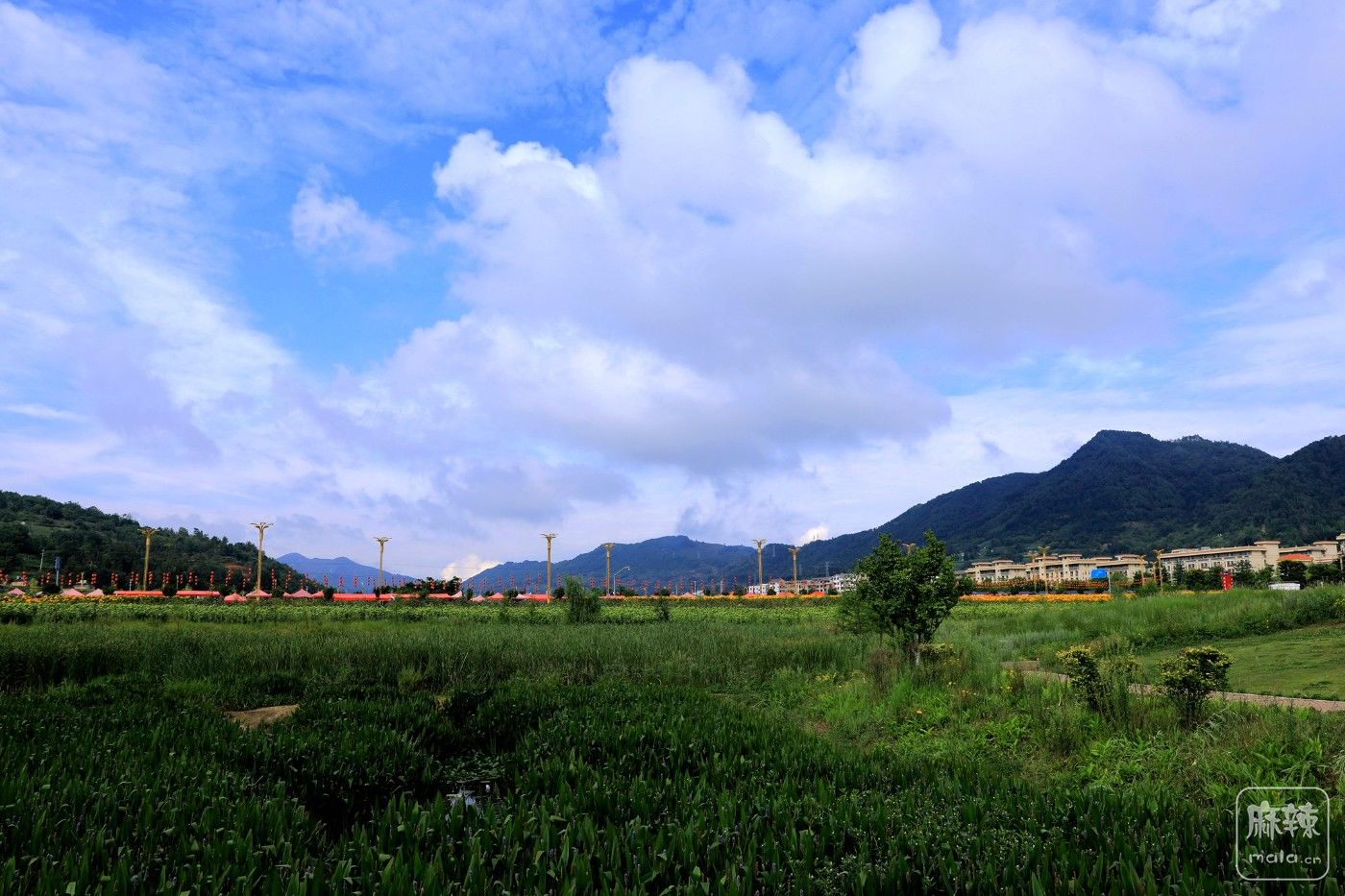 0F5A8929.JPG