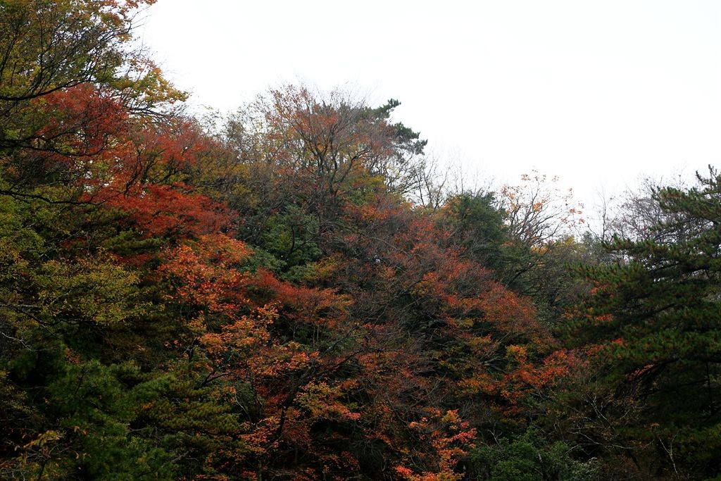L_JY3362_����.jpg