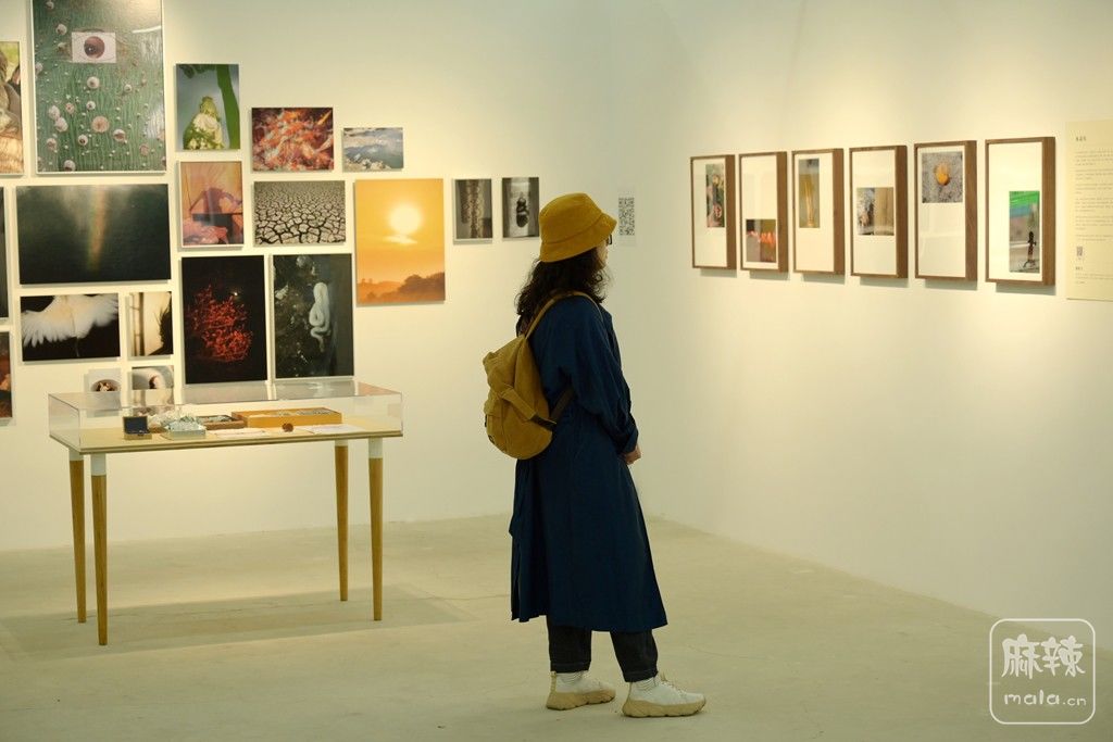 Ӱչ�ι���090.jpg