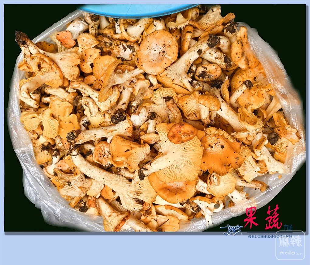 29���������г�.jpg