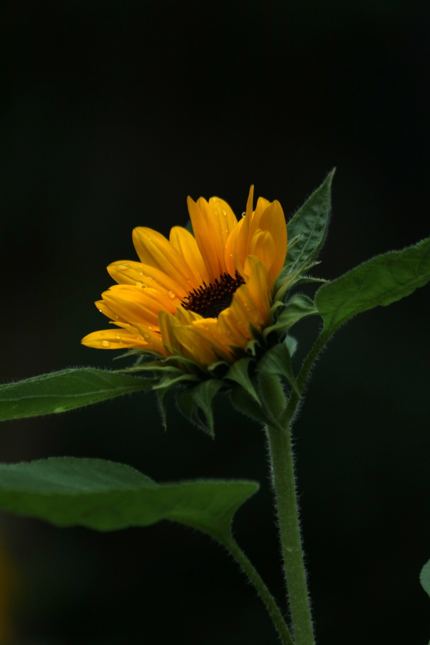 IMG_7873.JPG