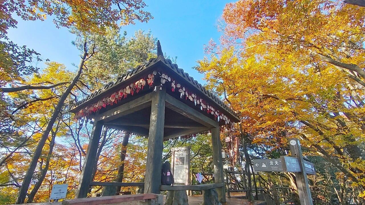 image_1792650190243.jpg
