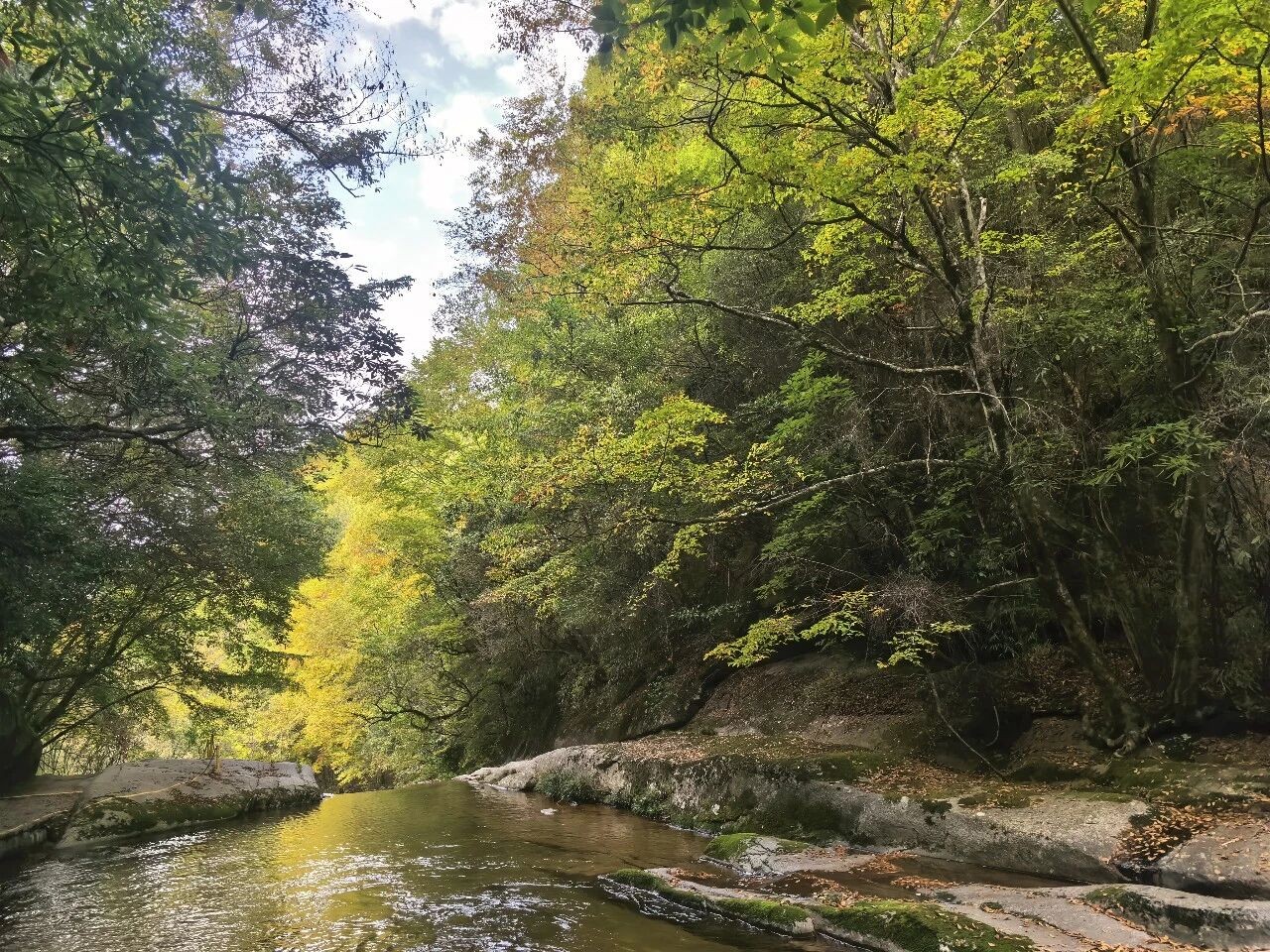 image_1792650441619.jpg