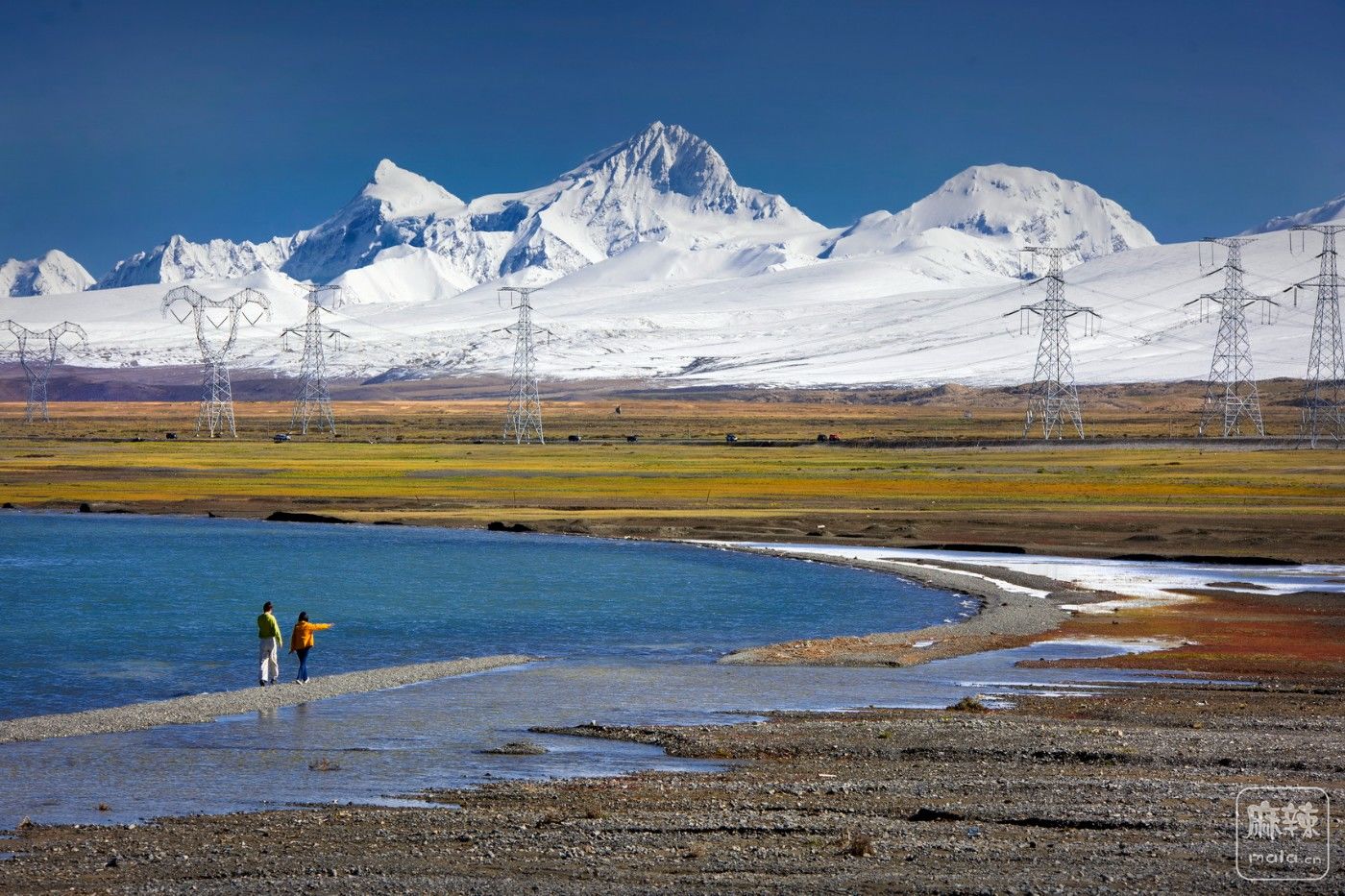 _MG_6455.jpg