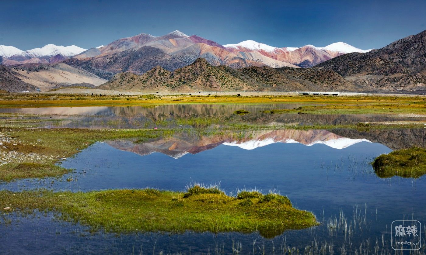 _MG_6459.jpg