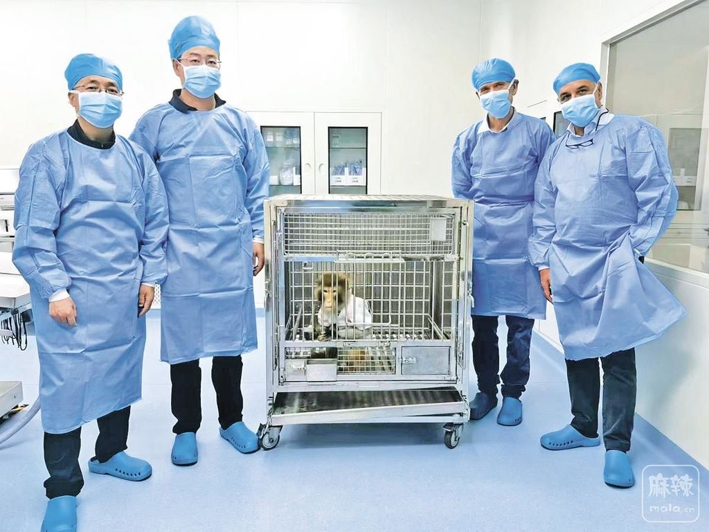 c7fdbde3-c7c0-4e09-807f-8d5ef8bacbf4.tif.2