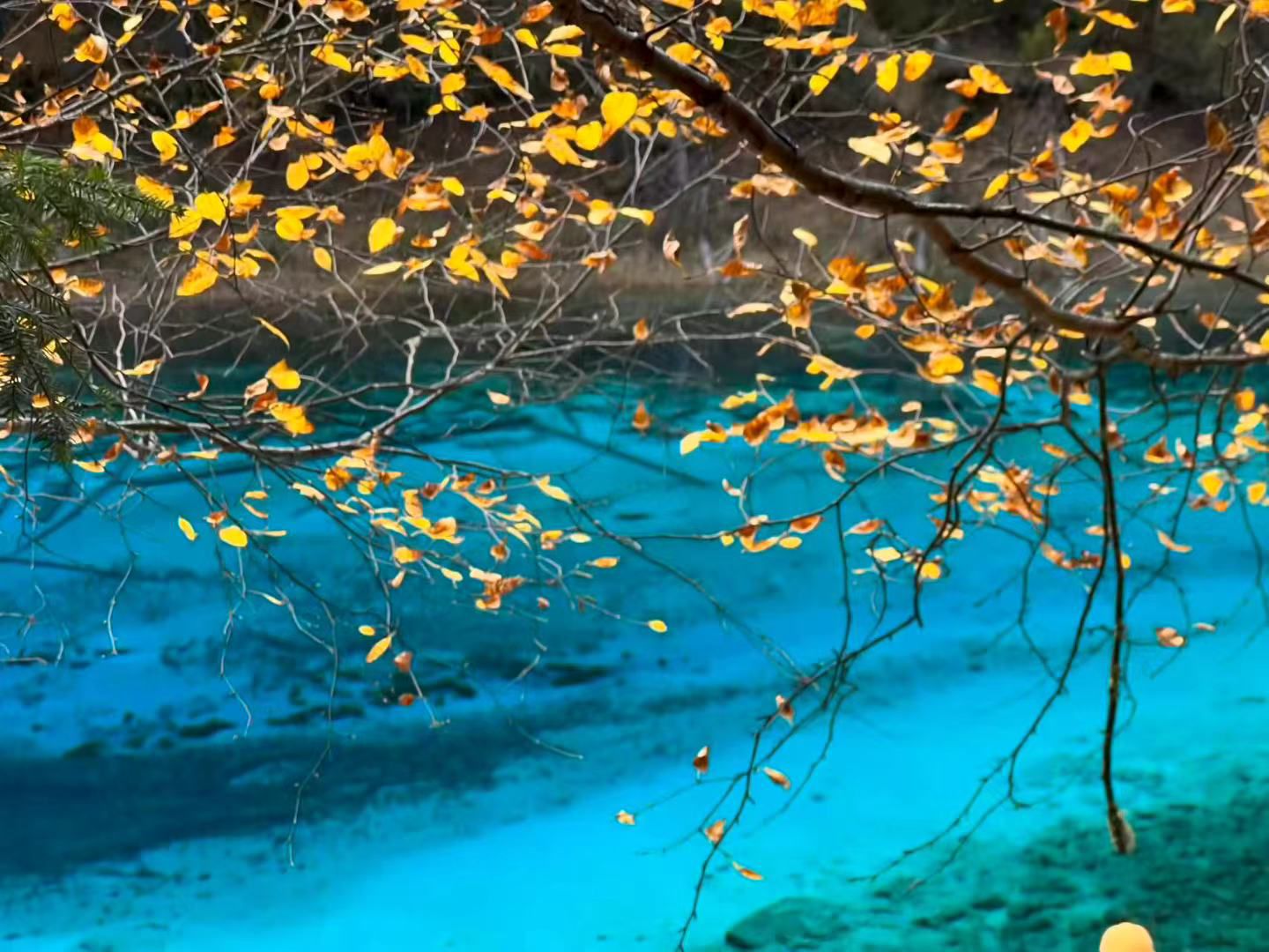 20261024080603front2_0_7864201_FtCZm16VlTnJMrwH4rvw_uvlXfHY.jpg