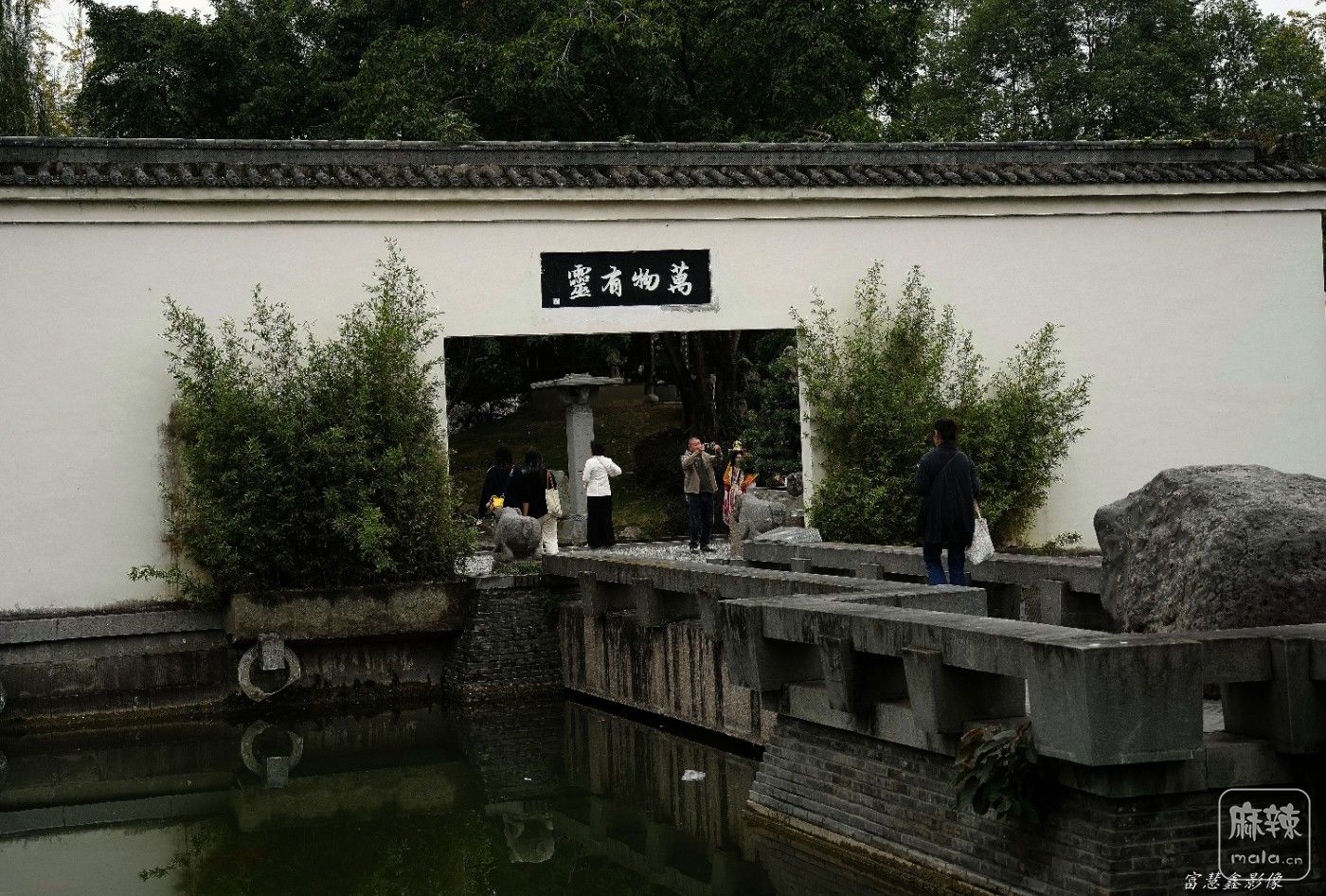 DSC02524_����.jpg