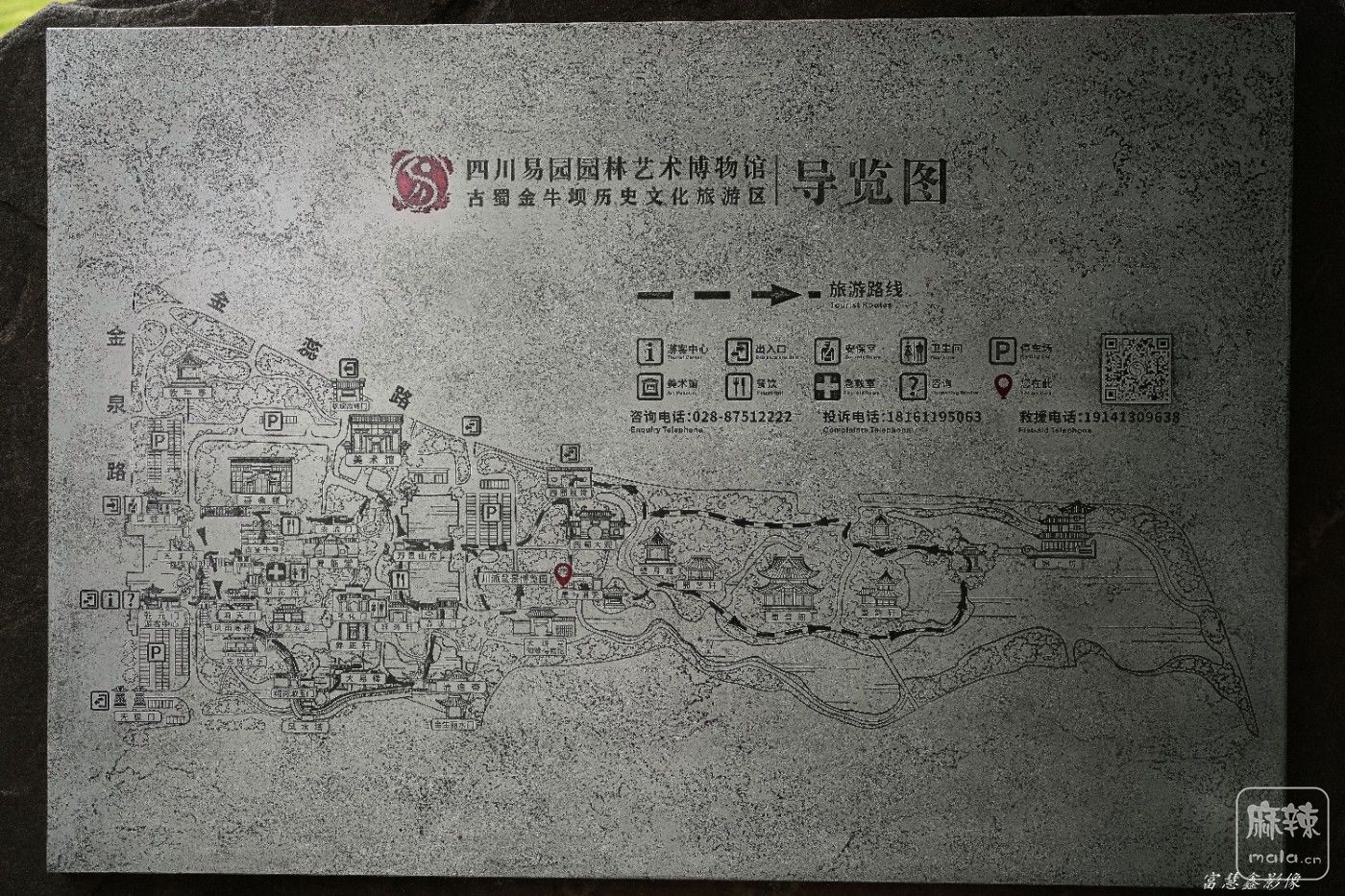 DSC02527_����.jpg