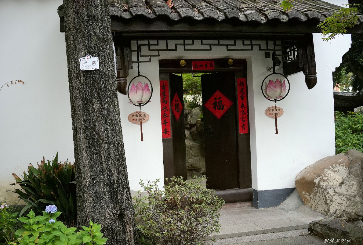 DSC02501_����.jpg