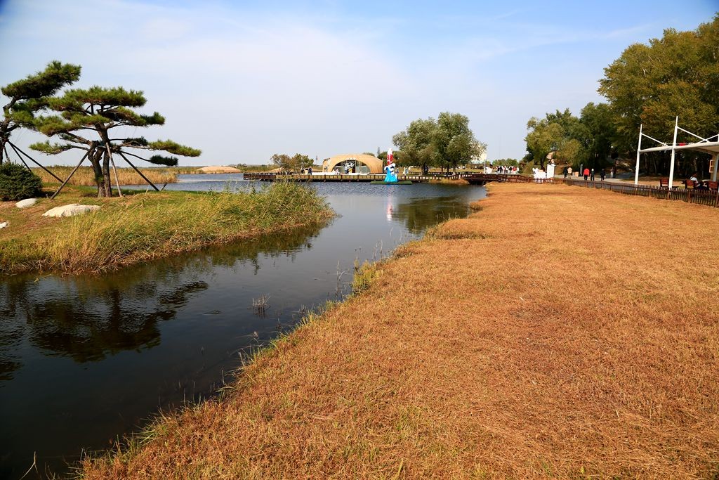 L_JY2362_����.jpg