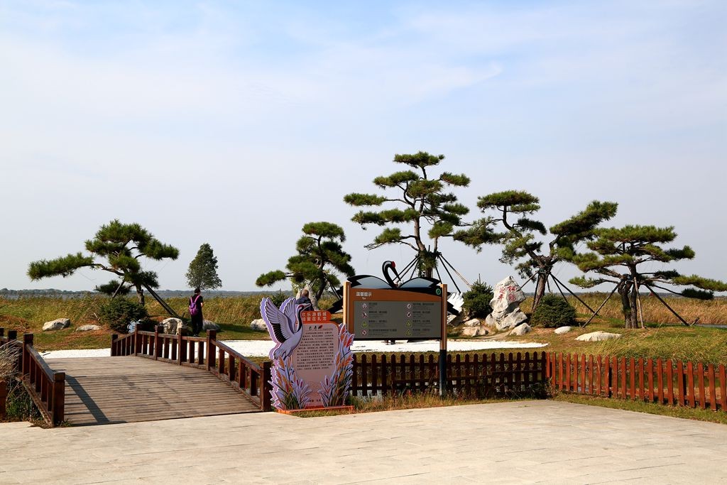 L_JY2358_����.jpg