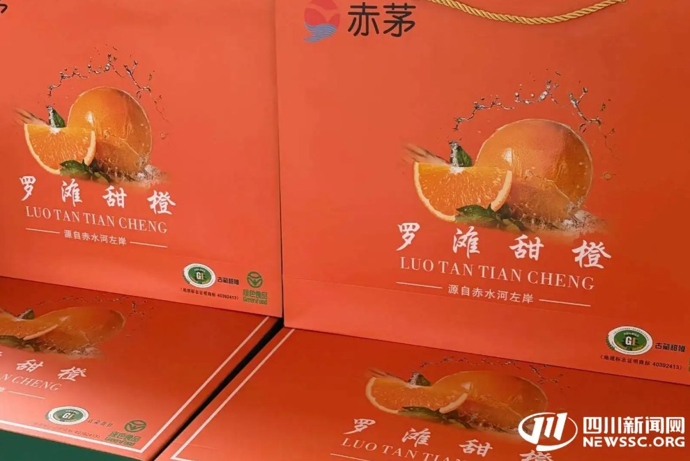 QQ20261025-161028.png