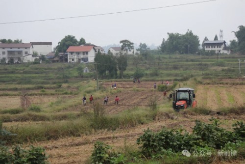 mmexport1792984138804.jpg