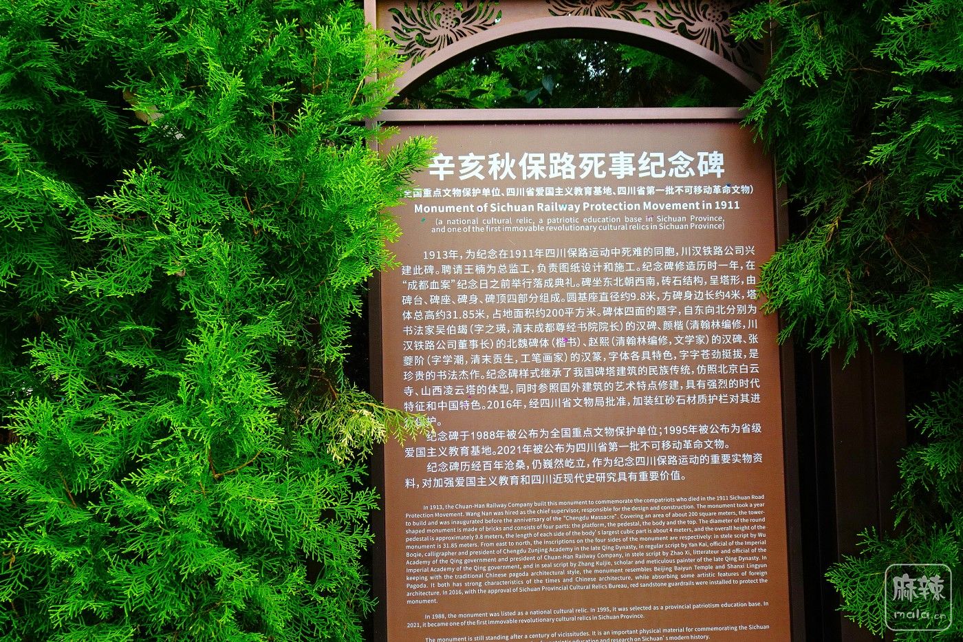 DSC00398.JPG