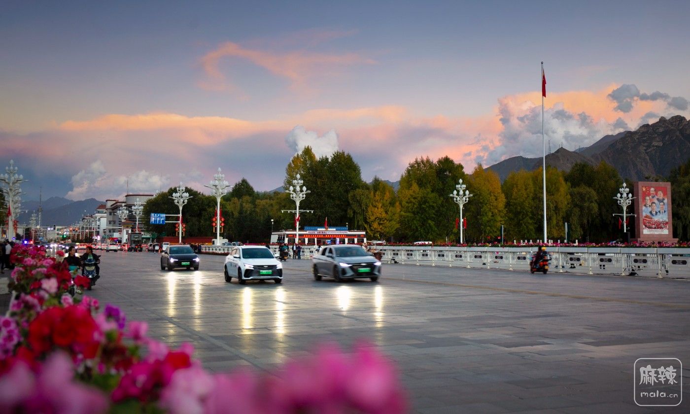 _MG_5726.jpg