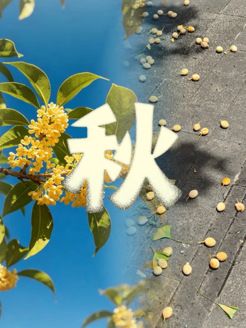 �ɶ��ֵ���һ��������һ����pang���ļ���_1_�����µ�����_����С������ҳ��.jpg