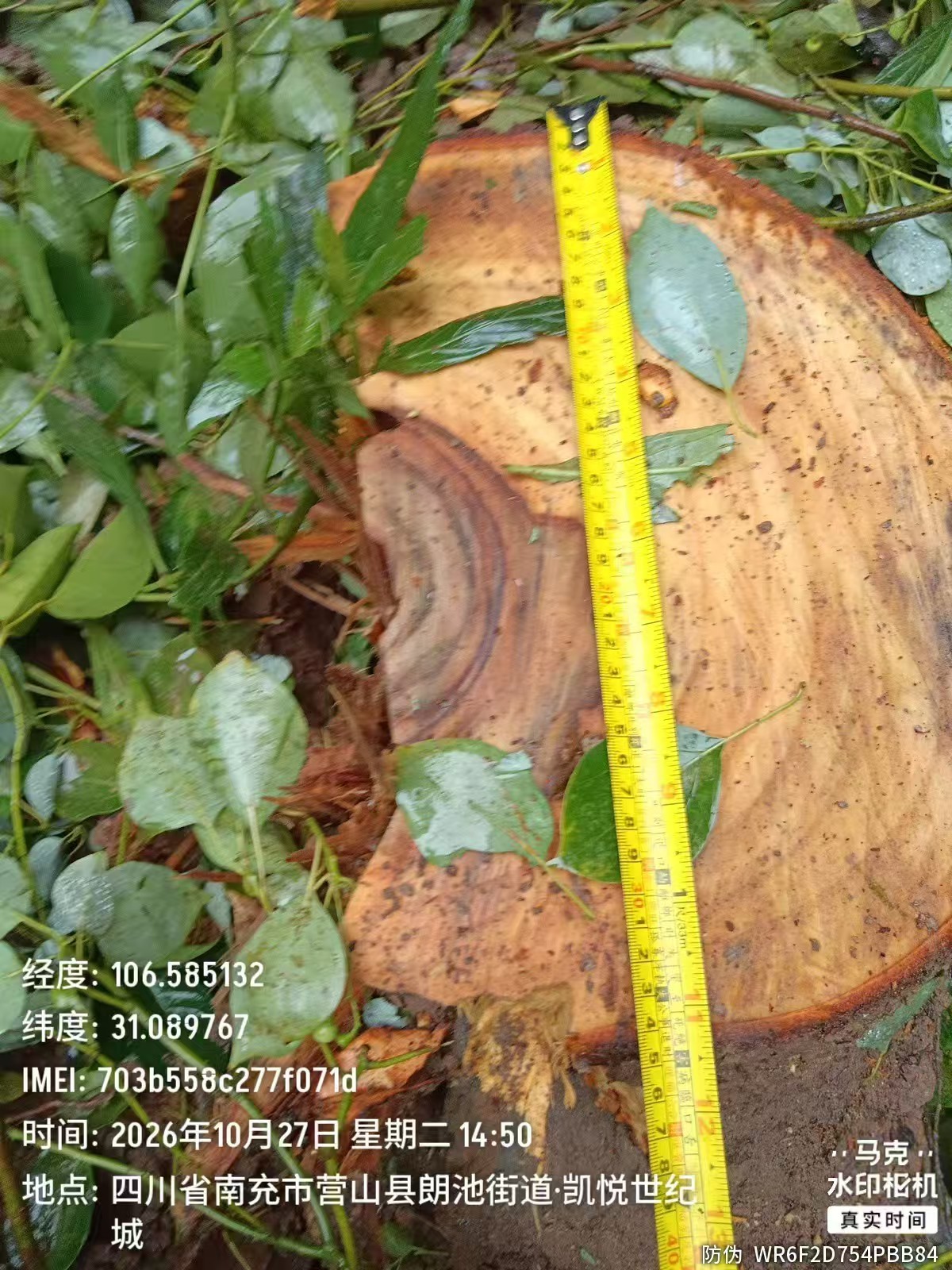 b801cd3809f997bf8e1794c5678ba133.jpg